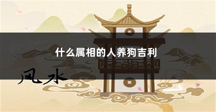 什么属相的人养狗吉利