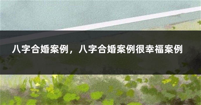 八字合婚案例，八字合婚案例很幸福案例