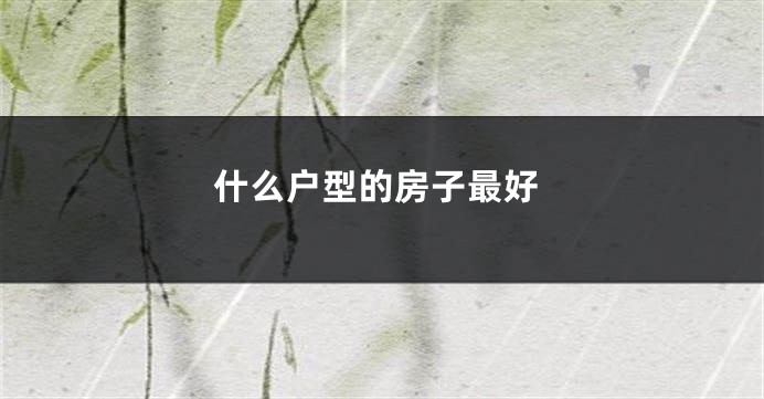 什么户型的房子最好