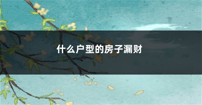 什么户型的房子漏财
