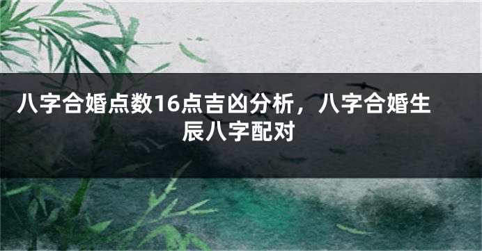 八字合婚点数16点吉凶分析，八字合婚生辰八字配对