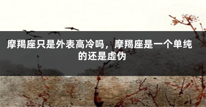 摩羯座只是外表高冷吗，摩羯座是一个单纯的还是虚伪