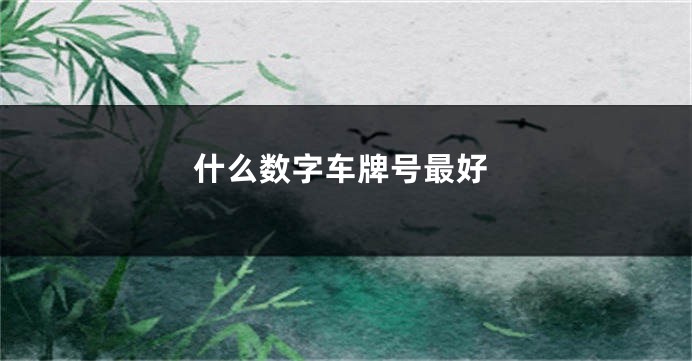 什么数字车牌号最好