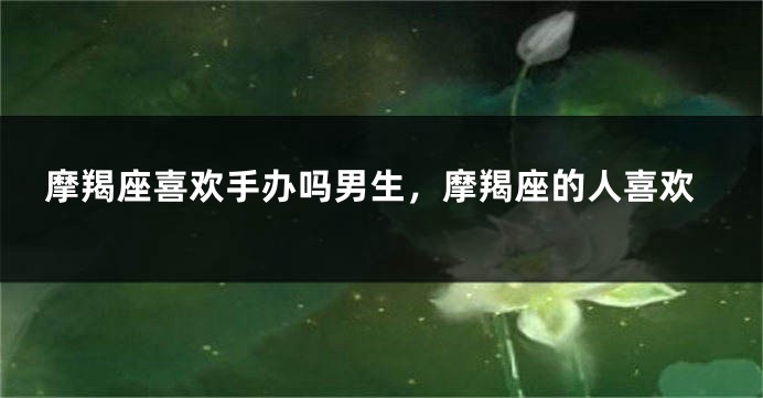 摩羯座喜欢手办吗男生,摩羯座的人喜欢