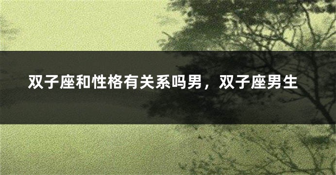 双子座和性格有关系吗男，双子座男生