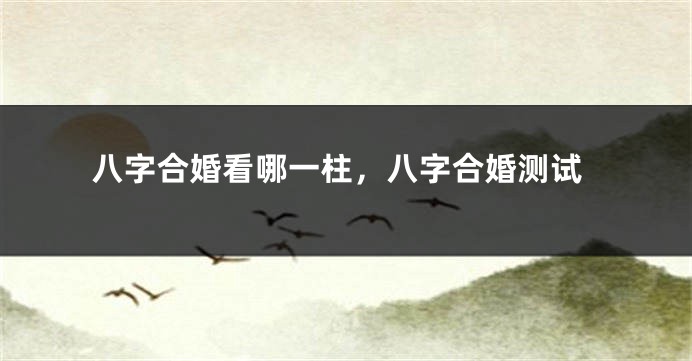 八字合婚看哪一柱，八字合婚测试