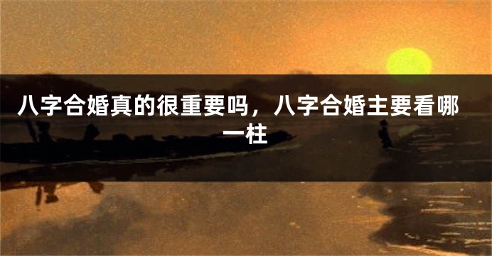 八字合婚真的很重要吗，八字合婚主要看哪一柱