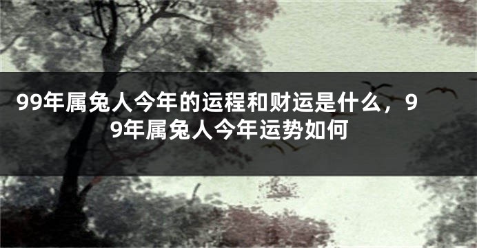 99年属兔人今年的运程和财运是什么，99年属兔人今年运势如何