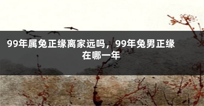 99年属兔正缘离家远吗，99年兔男正缘在哪一年