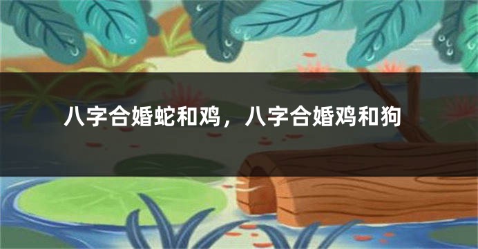 八字合婚蛇和鸡，八字合婚鸡和狗