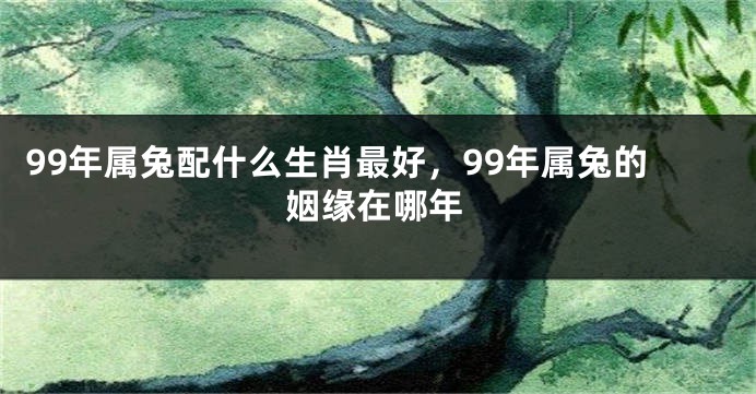 99年属兔配什么生肖最好，99年属兔的姻缘在哪年