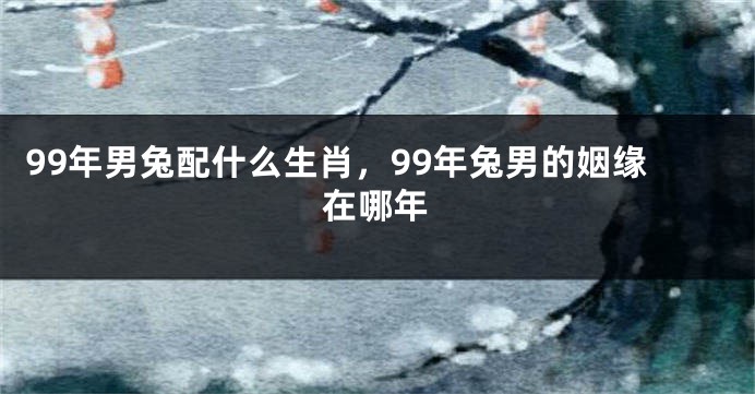 99年男兔配什么生肖，99年兔男的姻缘在哪年