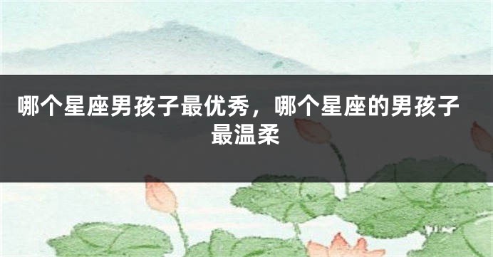 哪个星座男孩子最优秀，哪个星座的男孩子最温柔