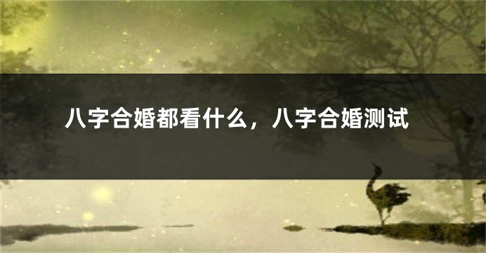 八字合婚都看什么，八字合婚测试