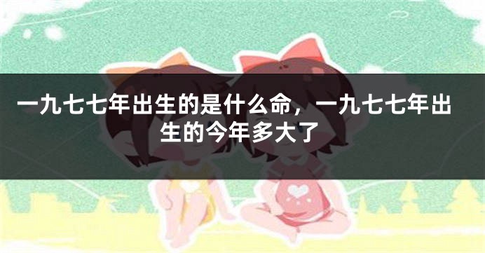 一九七七年出生的是什么命,一九七七年出生的今年多大了