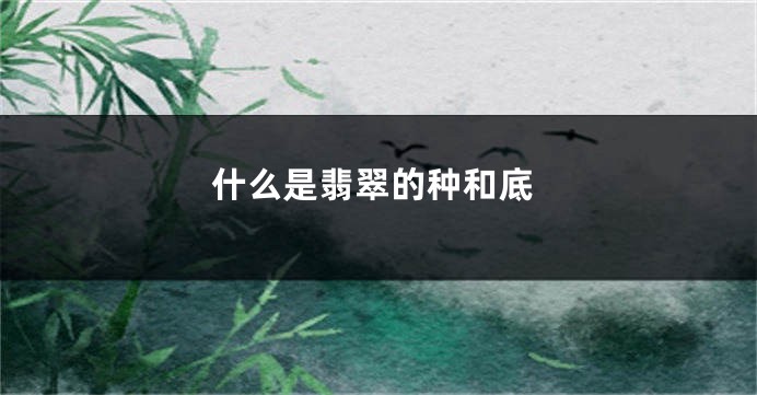 什么是翡翠的种和底