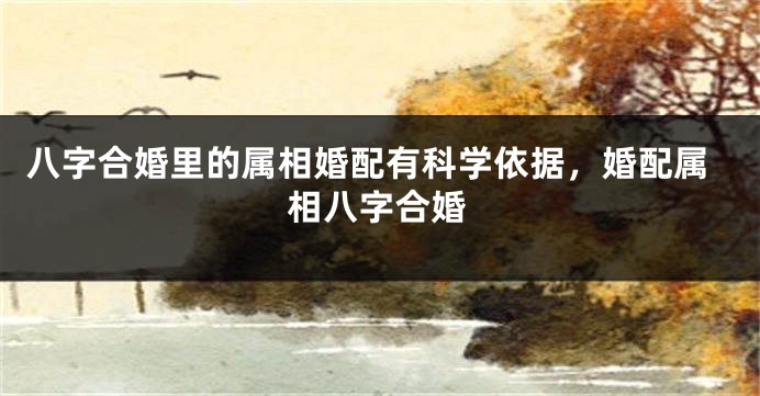 八字合婚里的属相婚配有科学依据，婚配属相八字合婚