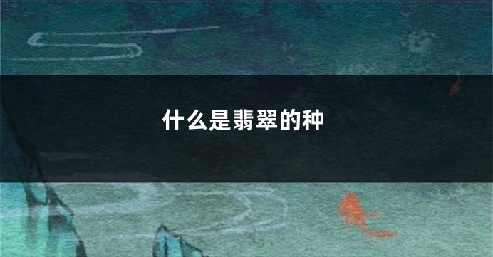 什么是翡翠的种