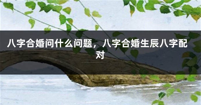 八字合婚问什么问题，八字合婚生辰八字配对