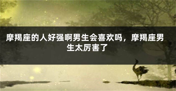 摩羯座的人好强啊男生会喜欢吗，摩羯座男生太厉害了