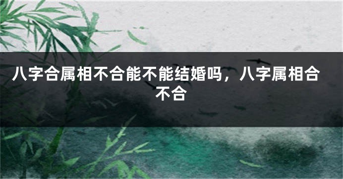 八字合属相不合能不能结婚吗，八字属相合不合