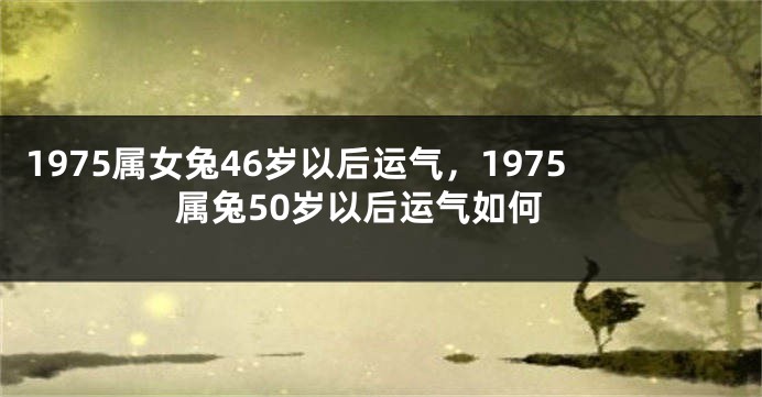 1975属女兔46岁以后运气，1975属兔50岁以后运气如何