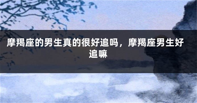 摩羯座的男生真的很好追吗，摩羯座男生好追嘛
