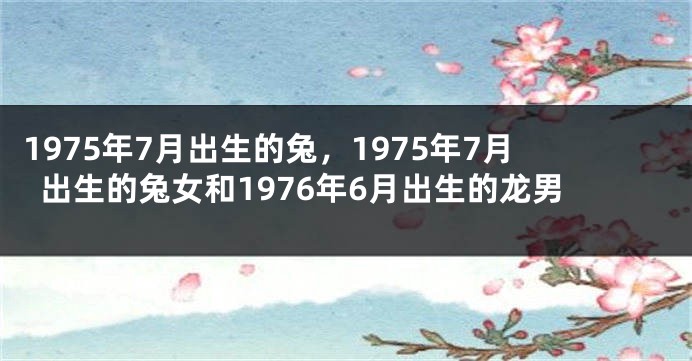 1975年7月出生的兔，1975年7月出生的兔女和1976年6月出生的龙男