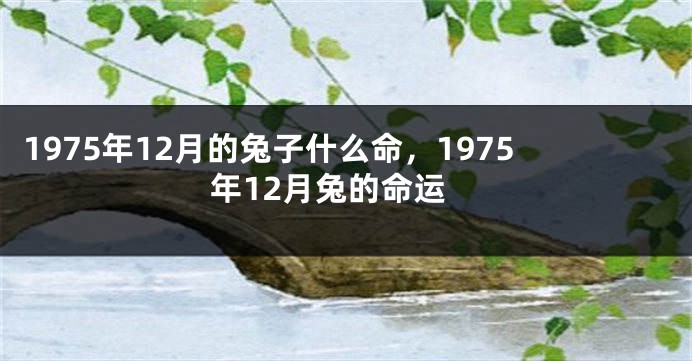 1975年12月的兔子什么命，1975年12月兔的命运