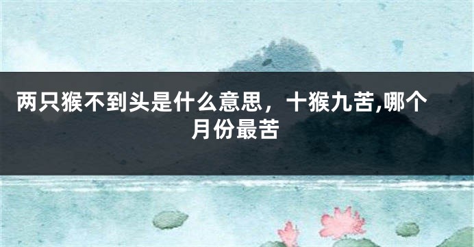 两只猴不到头是什么意思，十猴九苦,哪个月份最苦