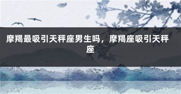 摩羯最吸引天秤座男生吗，摩羯座吸引天秤座