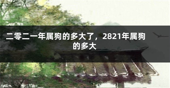 二零二一年属狗的多大了，2821年属狗的多大