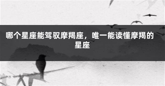 哪个星座能驾驭摩羯座,唯一能读懂摩羯的星座