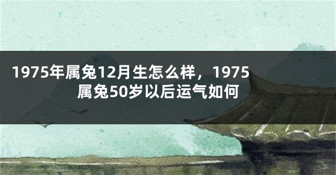 1975年属兔12月生怎么样，1975属兔50岁以后运气如何