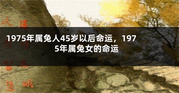 1975年属兔人45岁以后命运，1975年属兔女的命运