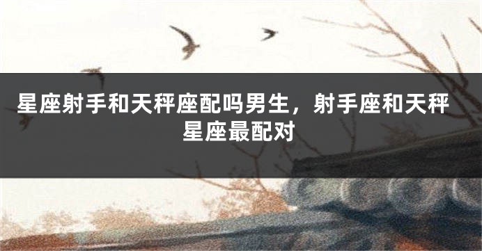 星座射手和天秤座配吗男生，射手座和天秤星座最配对