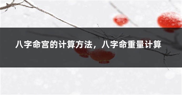 八字命宫的计算方法，八字命重量计算