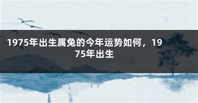 1975年出生属兔的今年运势如何，1975年出生