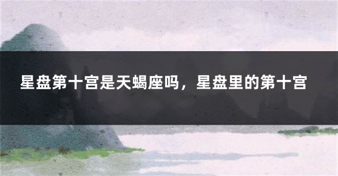 星盘第十宫是天蝎座吗，星盘里的第十宫