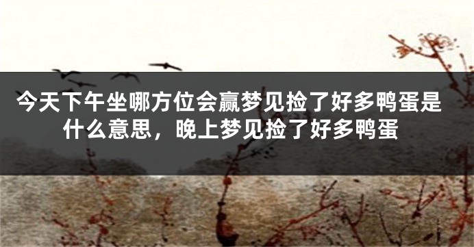 今天下午坐哪方位会赢梦见捡了好多鸭蛋是什么意思，晚上梦见捡了好多鸭蛋