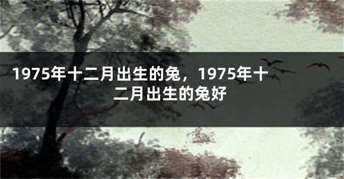 1975年十二月出生的兔，1975年十二月出生的兔好