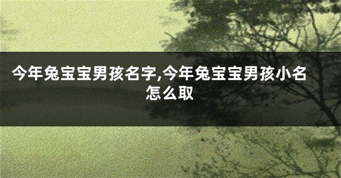 今年兔宝宝男孩名字,今年兔宝宝男孩小名怎么取