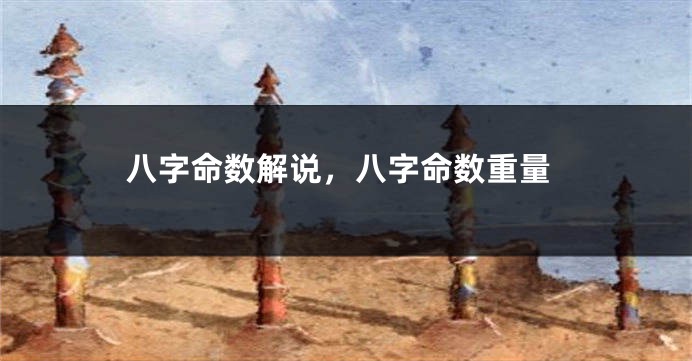 八字命数解说，八字命数重量