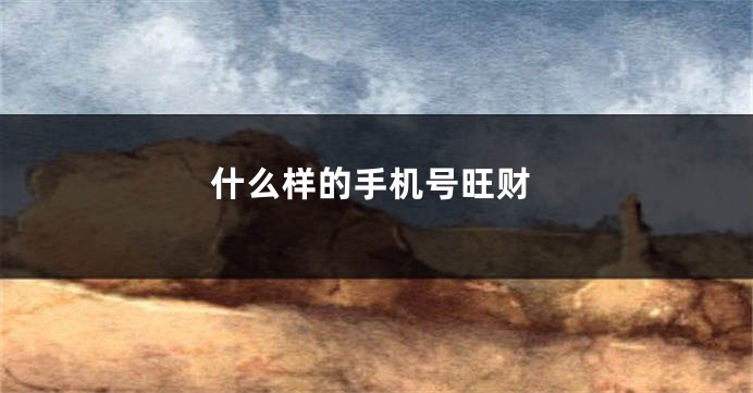 什么样的手机号旺财