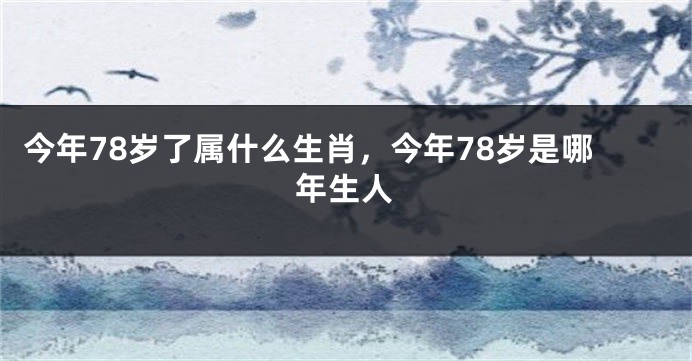 今年78岁了属什么生肖，今年78岁是哪年生人