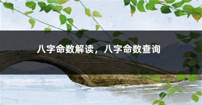 八字命数解读，八字命数查询