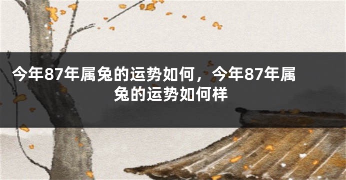 今年87年属兔的运势如何，今年87年属兔的运势如何样