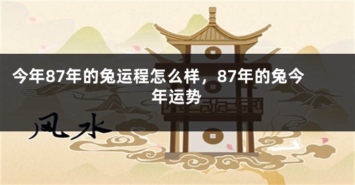 今年87年的兔运程怎么样，87年的兔今年运势