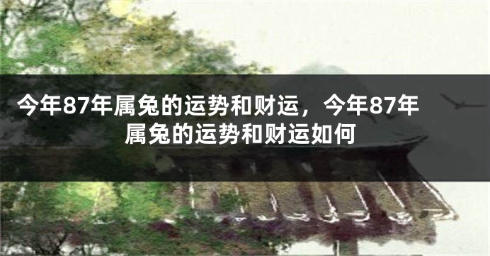 今年87年属兔的运势和财运，今年87年属兔的运势和财运如何