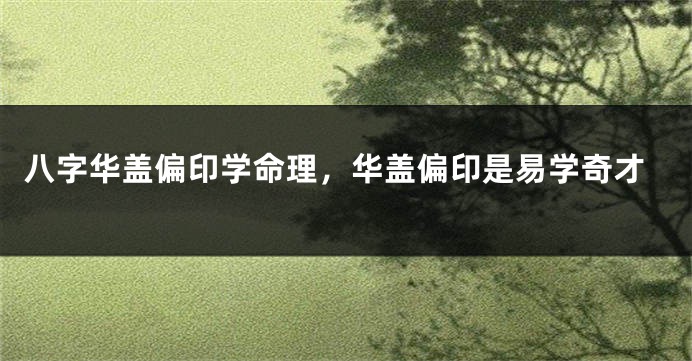 八字华盖偏印学命理，华盖偏印是易学奇才